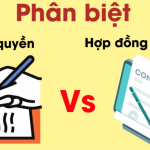 Ảnh chụp màn hình 2025-07-29 090858