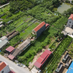 xây nhà trên đất nông nghiệp