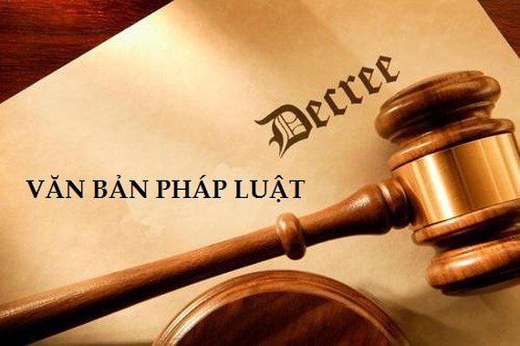luật đất đai lấn chiếm
