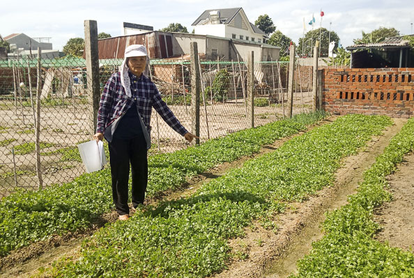 tranh chấp ranh giới đất