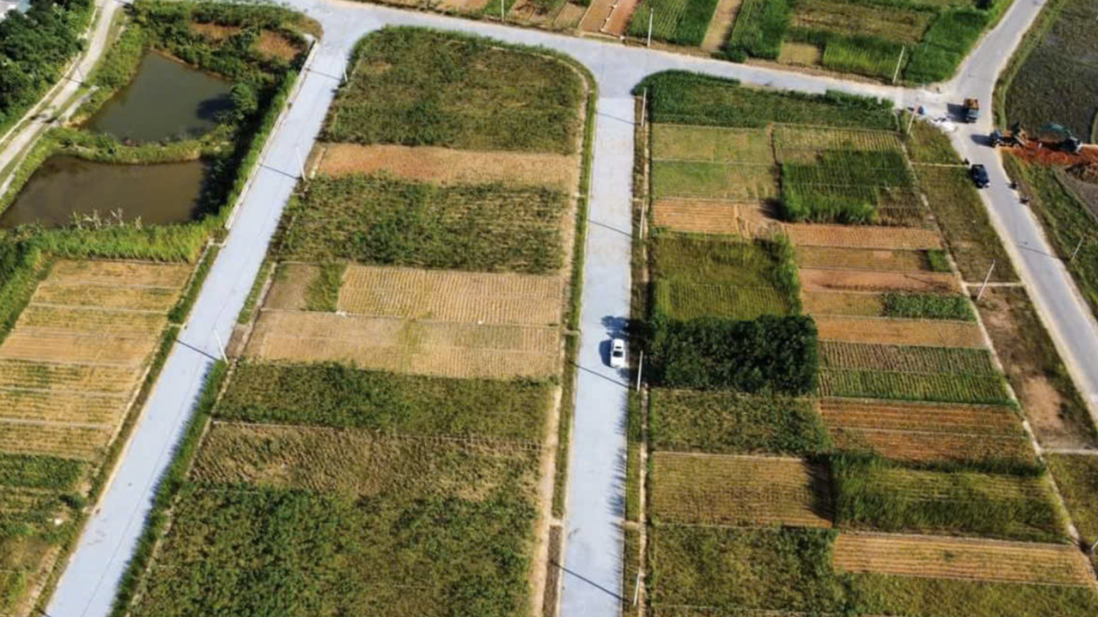 hợp đồng hợp thửa