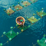 Screenshot 2025-12-23 143132