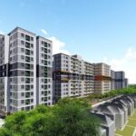 274-17406555427751846153690-0-0-496-794-crop-1740655972689802131731