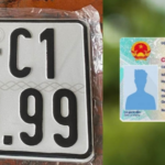 Biển số định danh mua bán