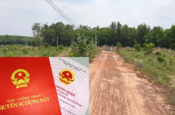 Đất không có giấy tờ