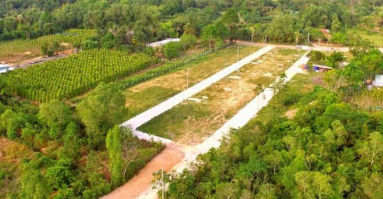 Đất trông cây hằng năm