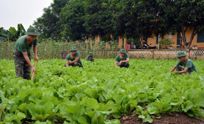 Đất quốc phòng