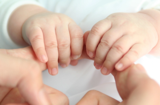 Con nuôi của nhiều người