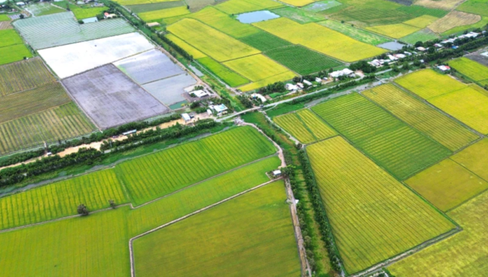 Đất nông nghiệp sang đất thổ cư