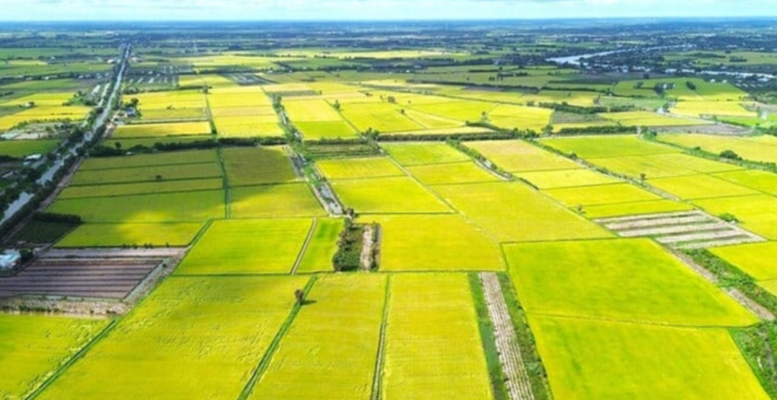 Đất nông nghiệp