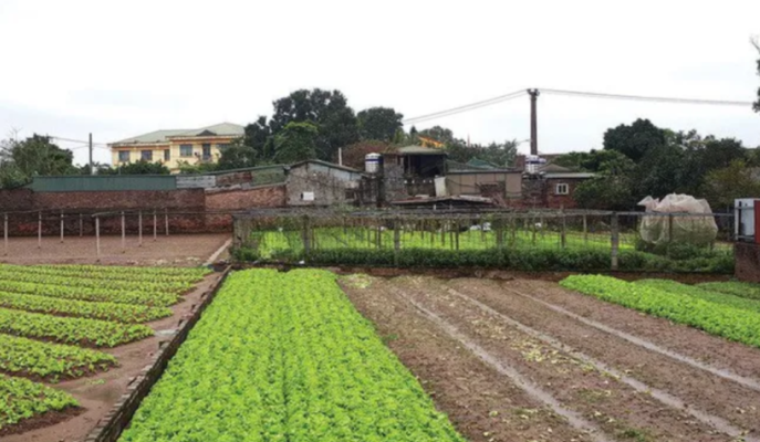 Đất không thể canh tác