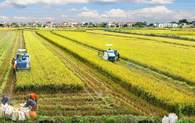 Đất nông nghiệp
