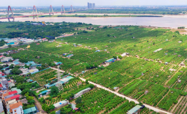 Đất nông nghiệp