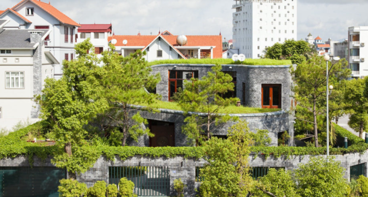 Cách đòi lại nhà đất