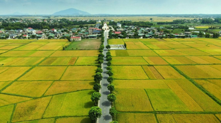 Đất phi nông nghiệp