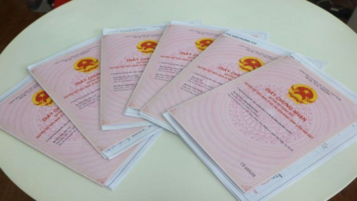 Đất của gia đình