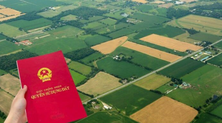 Đất vi phạm pháp luật đất đai 