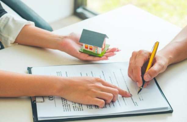 Đất vi phạm pháp luật đất đai 