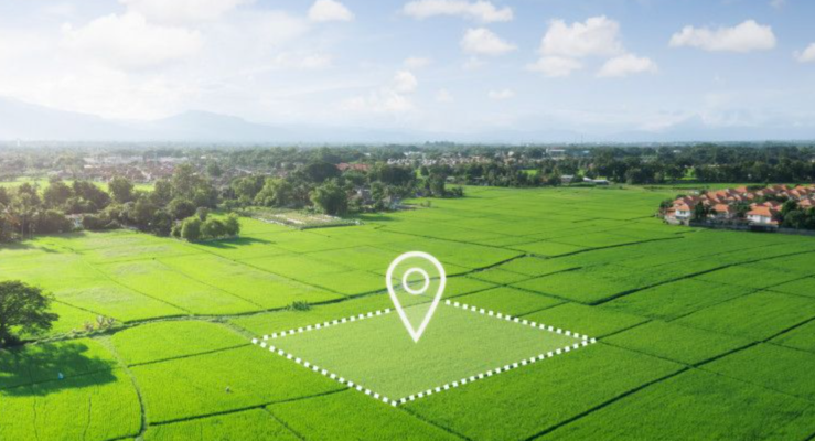 Chuyển quyền sử dụng đất