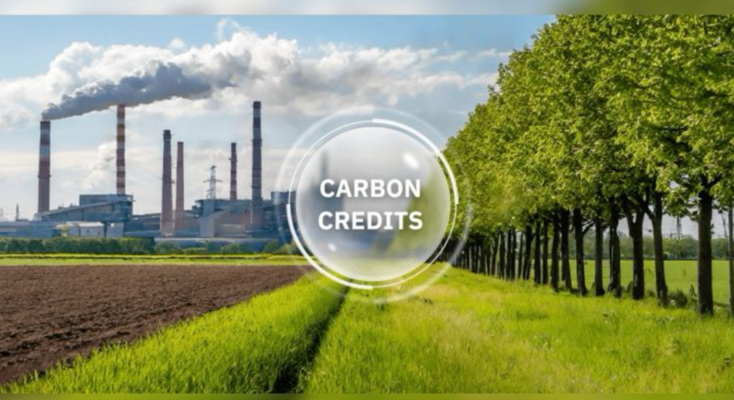 Tín chỉ Carbon