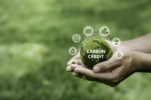 Tín chỉ Carbon