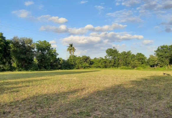 Đất CLN
