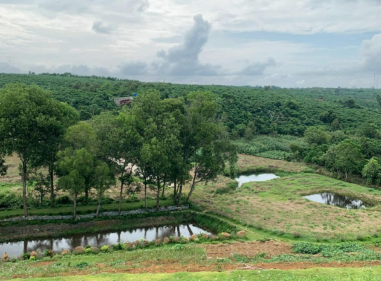 Kiểm đếm khi thu hồi đất