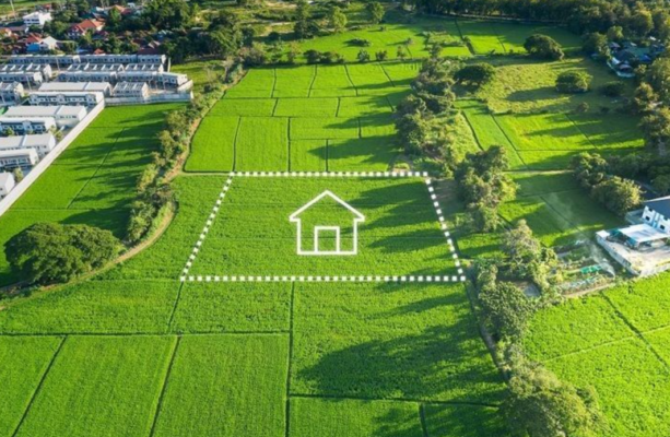 Thủ tục chuyển mục đích sử dụng đất 