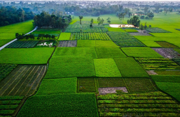 Hạn nộp hồ sơ khai thuế 