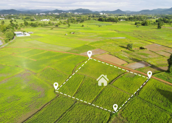 Đất vườn